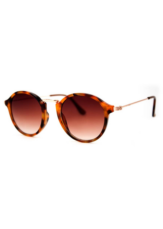 muffins sunglasses