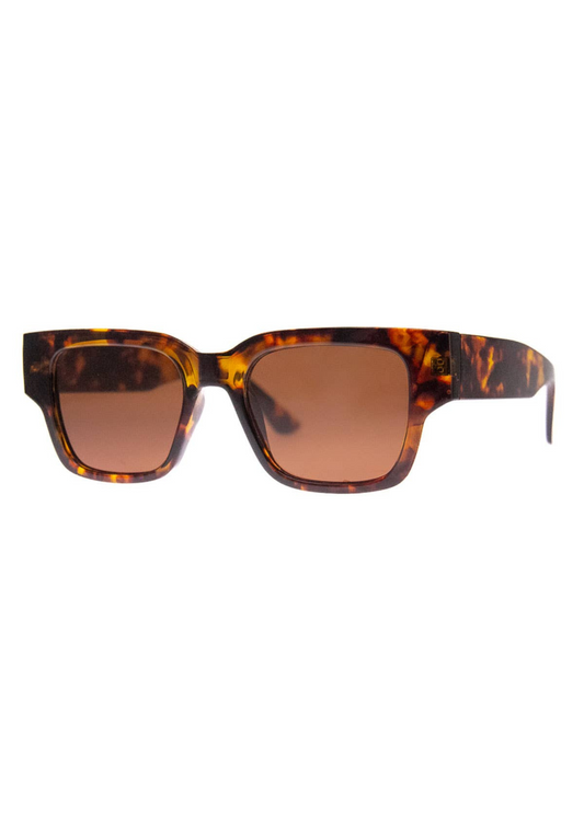 Brady sunglasses