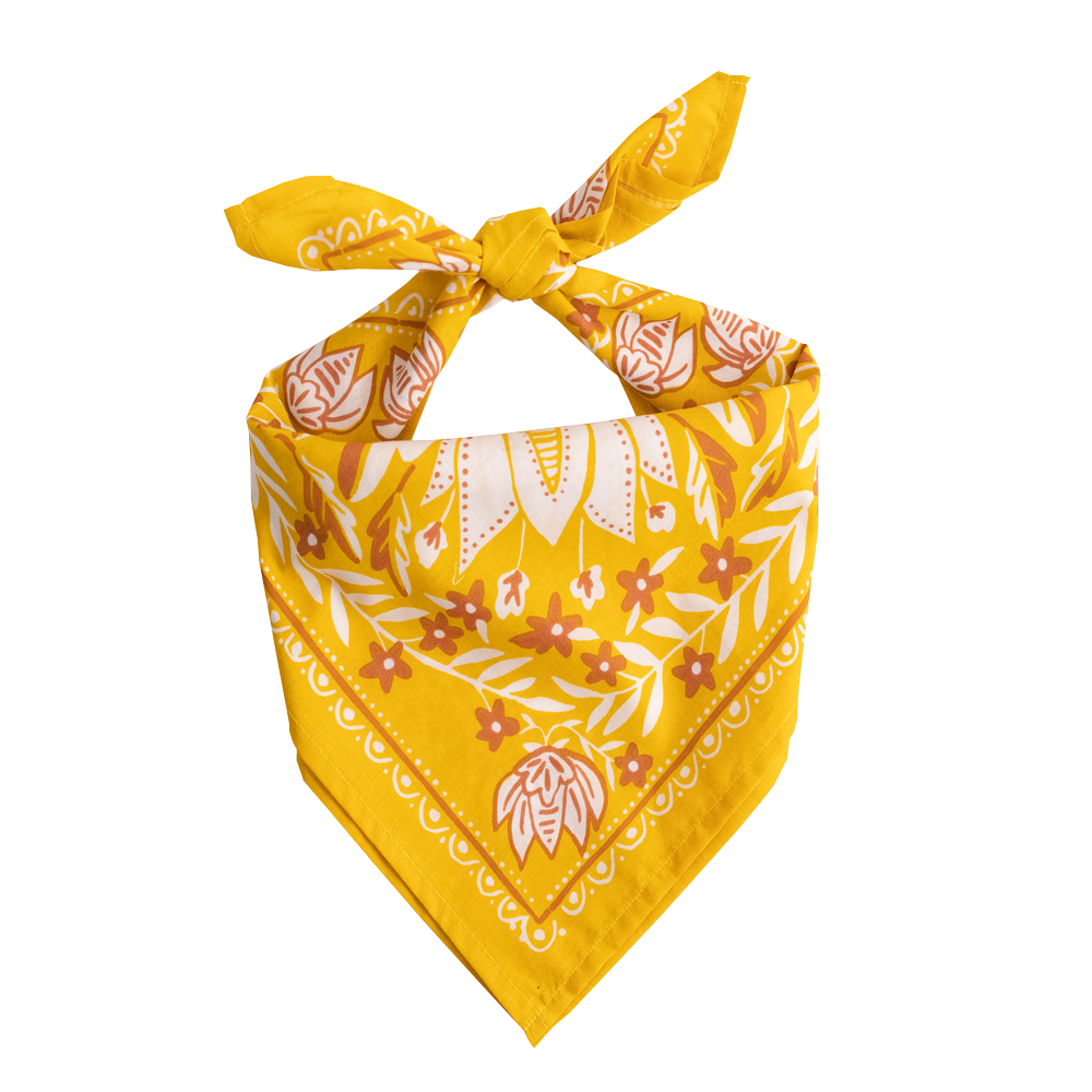 Antonia bandana