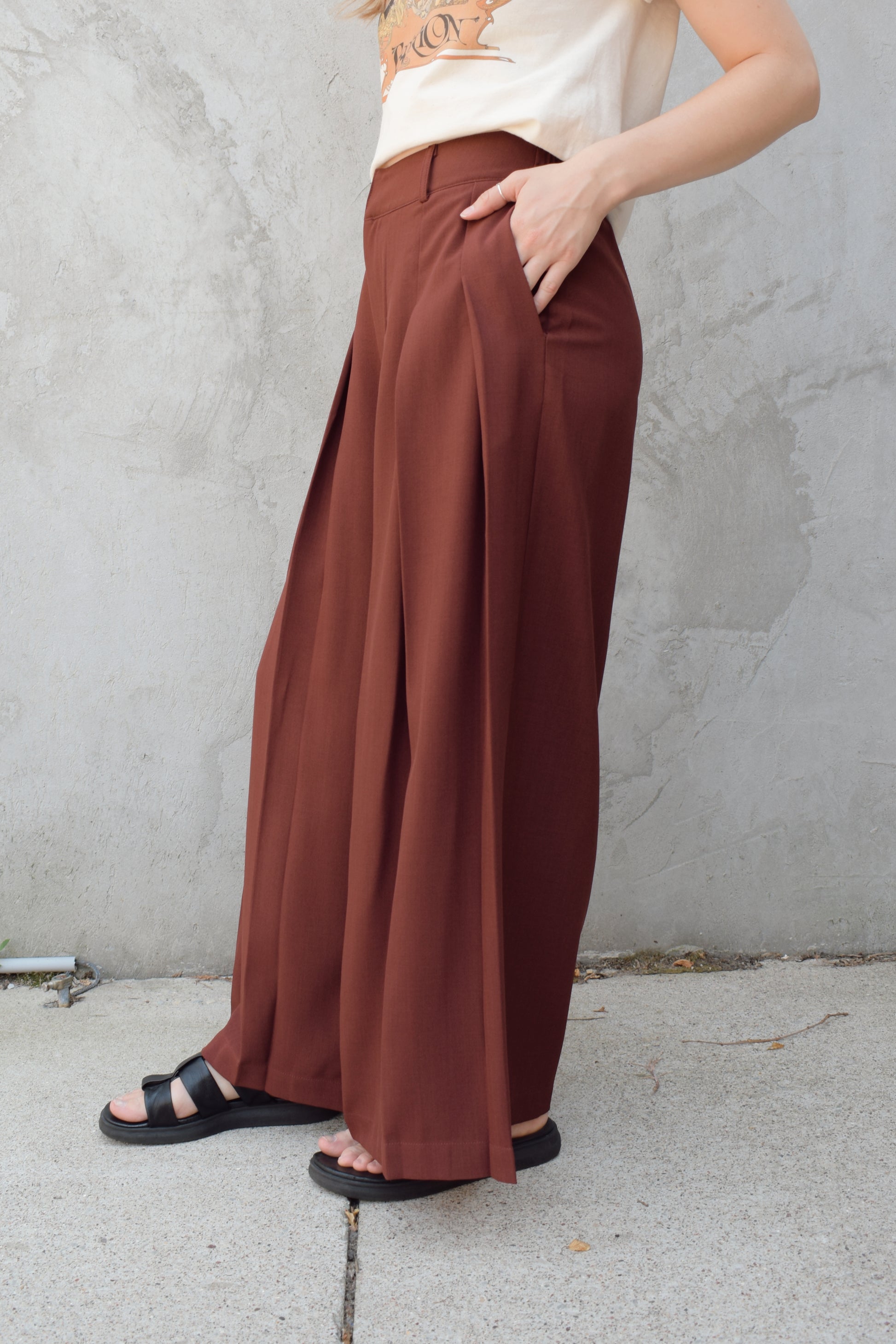 wide leg high rise trousers with pleats that extend fully down the front of the leg, zip and clasp enclosure, has pockets and belt loops, full length, elastic on back of waistband