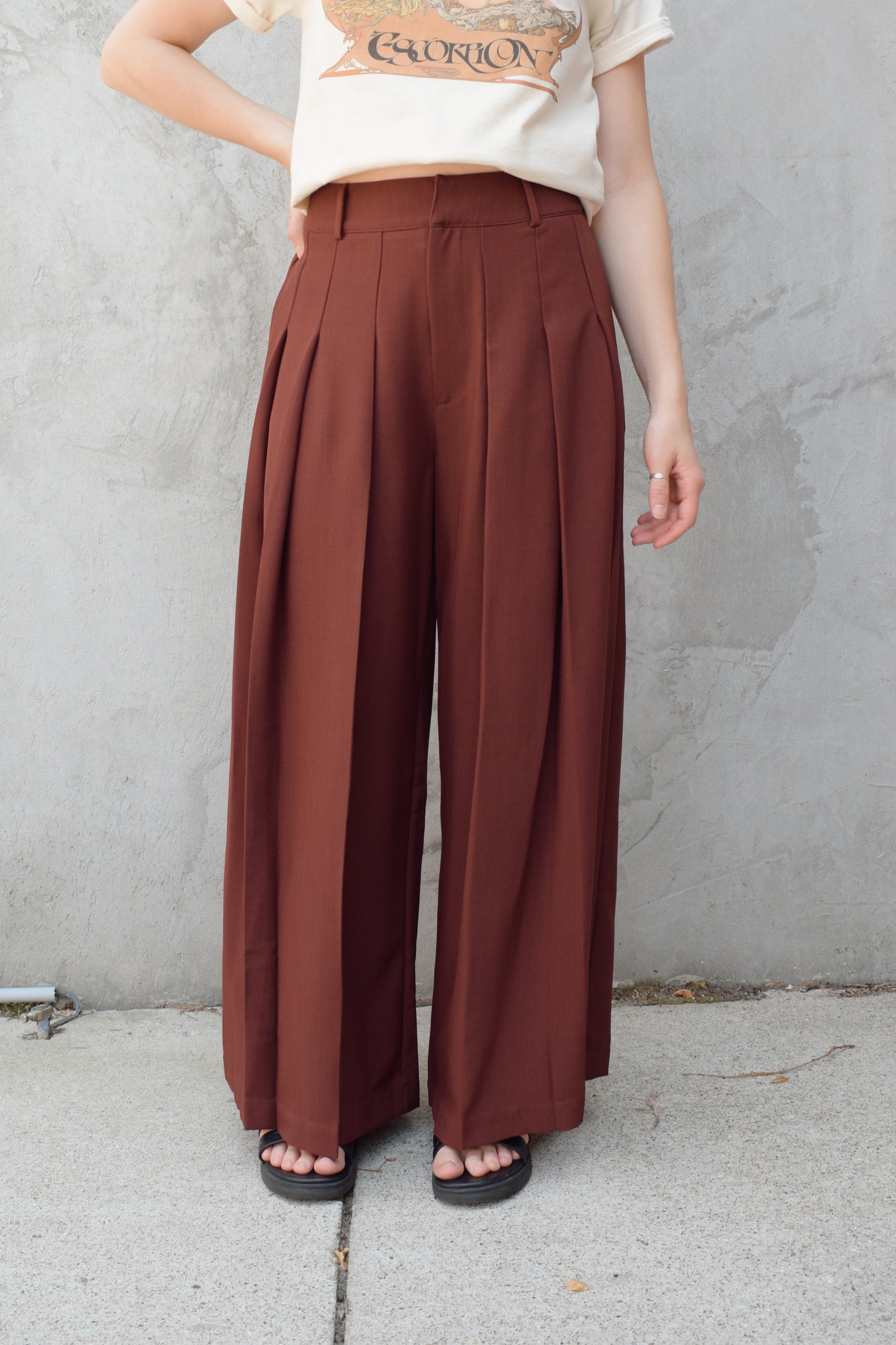 wide leg high rise trousers with pleats that extend fully down the front of the leg, zip and clasp enclosure, has pockets and belt loops, full length, elastic on back of waistband