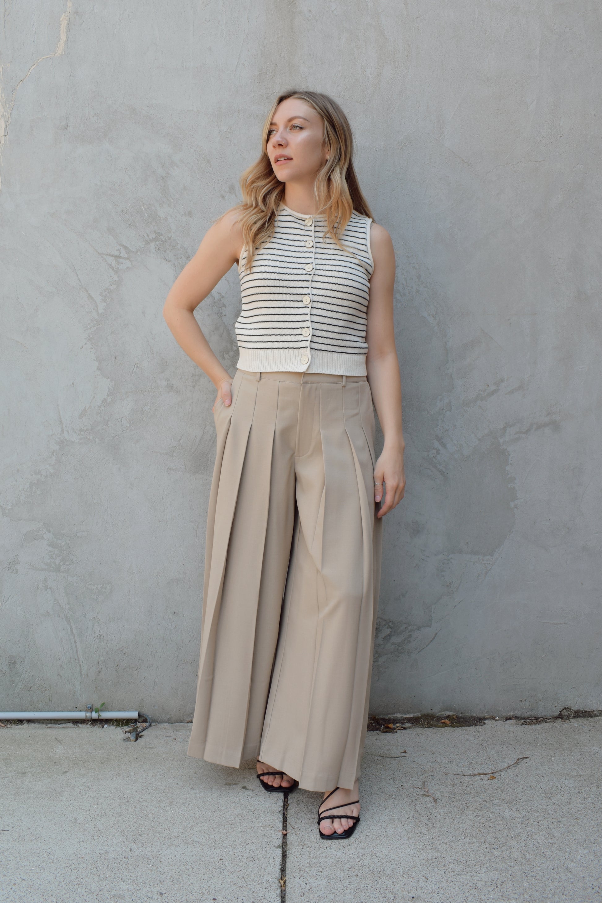 wide leg high rise trousers with pleats that extend fully down the front of the leg, zip and clasp enclosure, has pockets and belt loops, full length, elastic on back of waistband