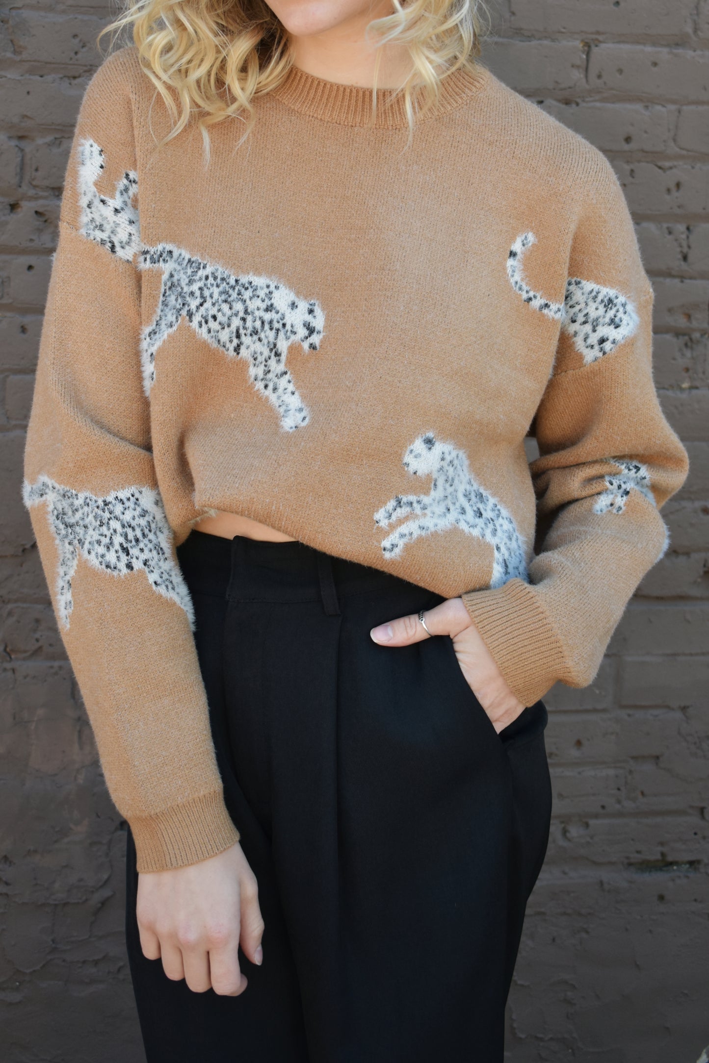 tan long sleeve relaxed fit leopard body printed sweater with ribbed crewneck and cuffs. full length.