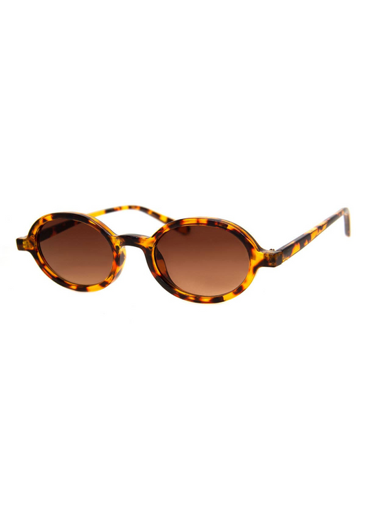 classroom sunglasses