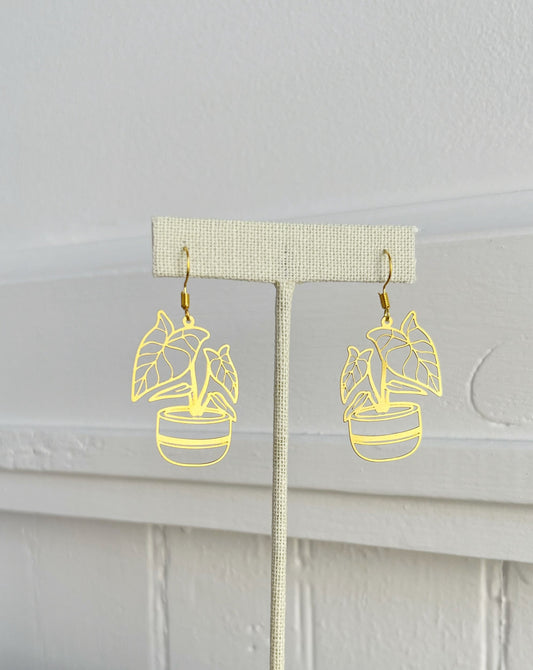 Koru earrings