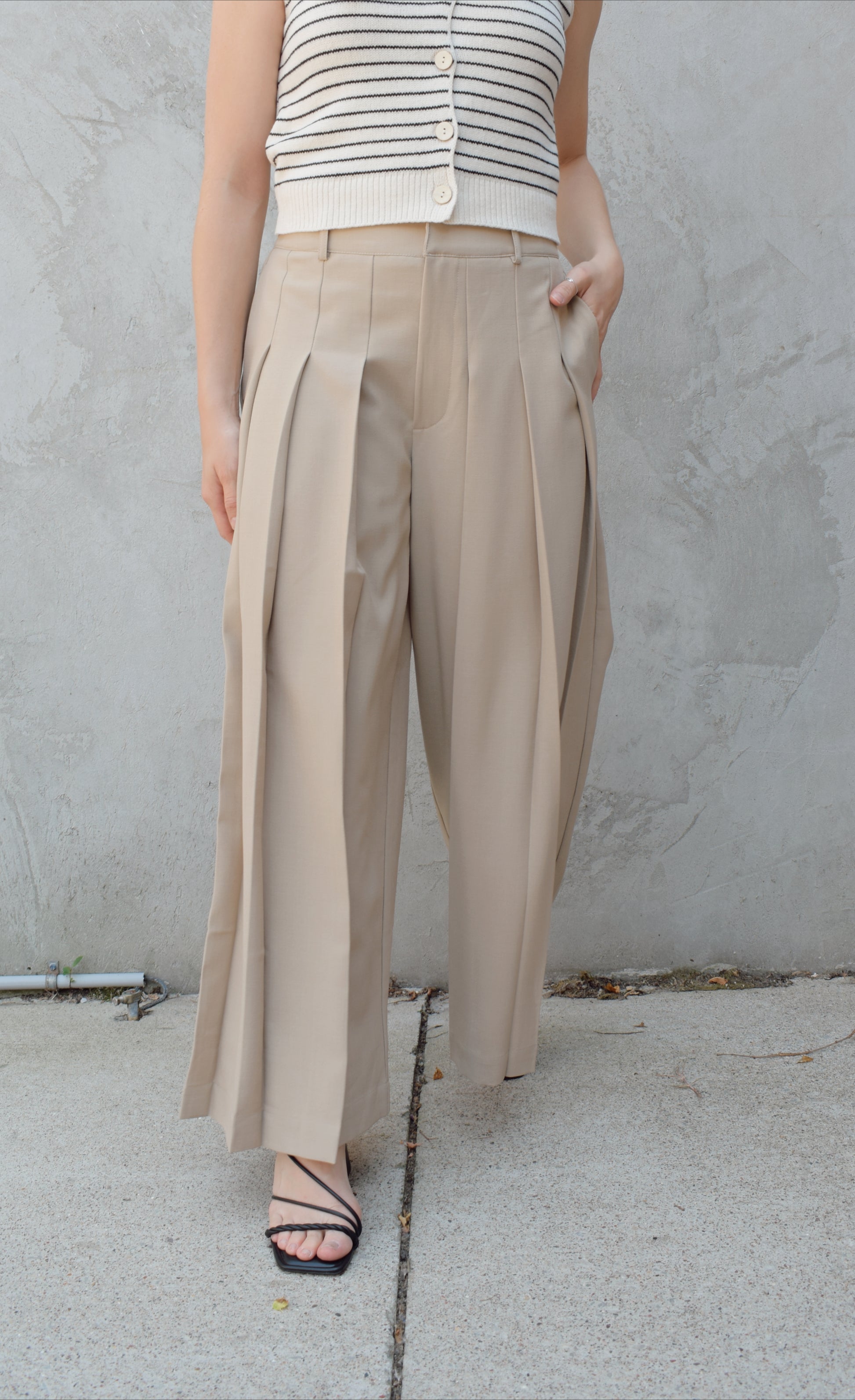 wide leg high rise trousers with pleats that extend fully down the front of the leg, zip and clasp enclosure, has pockets and belt loops, full length, elastic on back of waistband